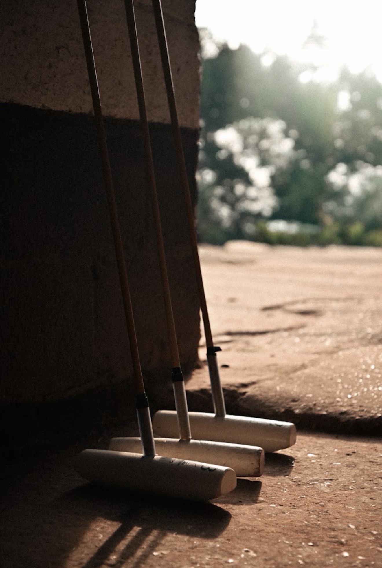 Three polo mallets leaning against a stable wall in warm sunlight
